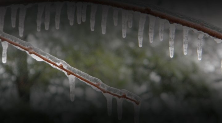 Ice Storm Warning Tonight